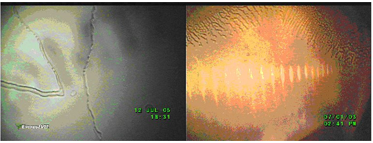 避免探頭CCD損傷的使用注意事項(xiàng)-超溫?fù)p傷示意圖 避免探頭CCD損傷的使用注意事項(xiàng)-超溫?fù)p傷示意圖